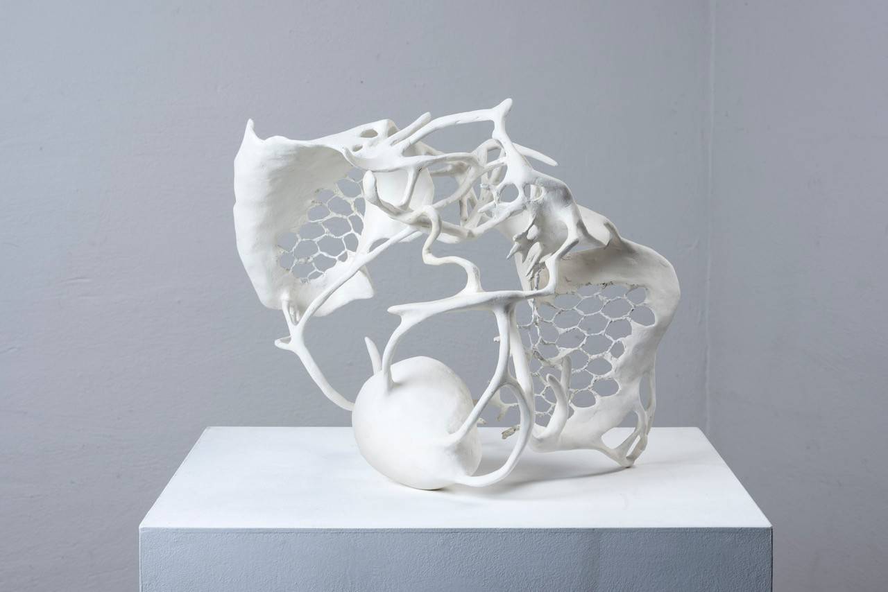 Morphose IX